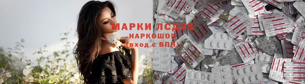 ПСИЛОЦИБИНОВЫЕ ГРИБЫ Киреевск