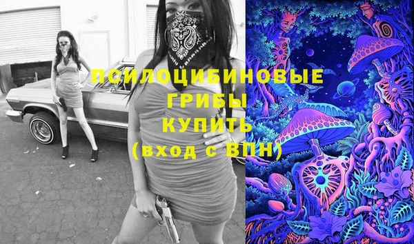 ПСИЛОЦИБИНОВЫЕ ГРИБЫ Киреевск
