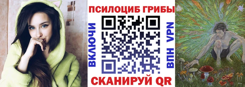 Купить где  Волжск  Псилоцибиновые грибы Cubensis 